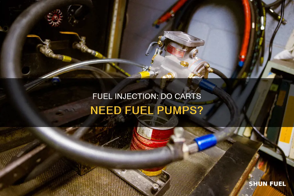 do cares with fuel injection have fuel pumps