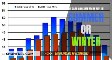 Summer or Winter: Which Season Drains Your Car's Fuel More?