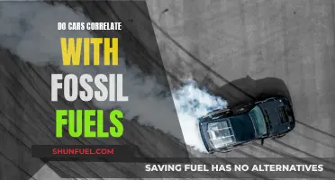 The Future of Cars: Fossil Fuel Dependency