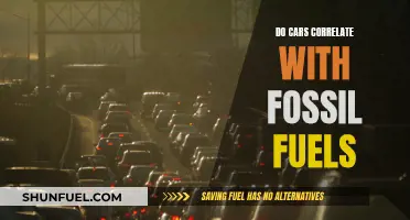 Cars' Fossil Fuel Correlation: Exploring the Connection