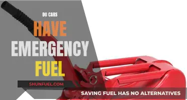 Emergency Fuel: What's in Your Car's Tank?