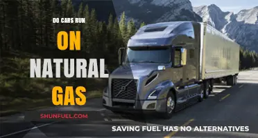 Exploring Alternative Fuels: Do Cars Run on Natural Gas?