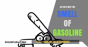 Feline Reactions to Gasoline: Do Cats Really Hate the Smell?
