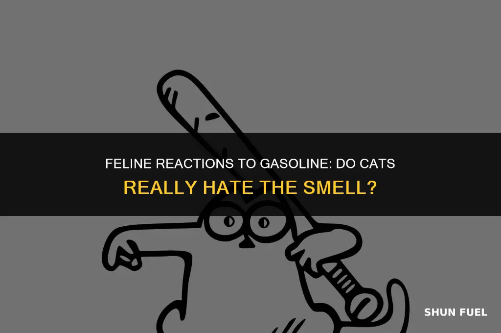 do cats hate the smell of gasoline
