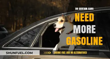 Fuel Efficiency Myths: Do Certain Cars Really Need More Gasoline?
