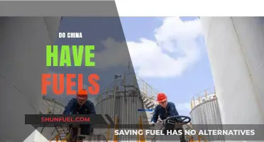 China's Fuel Resources: Exploring Energy Sources and Supply Dynamics