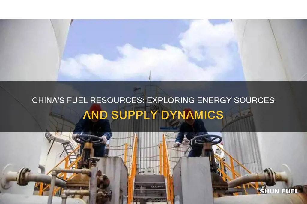 do china have fuels