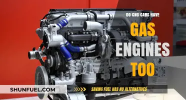 Exploring the Dual Nature of CNG Cars: Gas Engines Included?