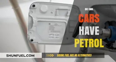 Exploring the Fuel Dynamics: Do CNG Cars Still Require Petrol?