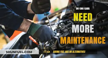CNG Cars Maintenance: Debunking Myths and Unveiling Facts