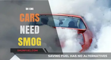 Exploring Emissions: Do CNG Cars Really Need Smog Checks?