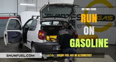 Exploring Fuel Flexibility: Can CNG Cars Run on Gasoline?