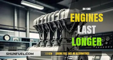 Exploring the Durability of CNG Engines: A Comprehensive Analysis