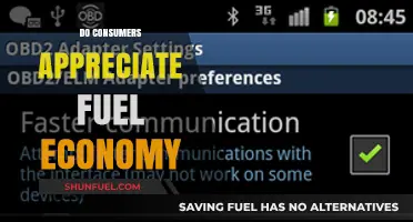 Fuel Economy: Do Consumers Value Efficiency Over Performance?
