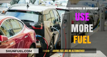 Who Consumes More Fuel: Everyday Consumers or Businesses?