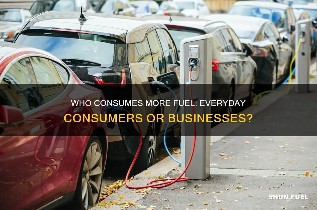 do consumers or businesses use more fuel