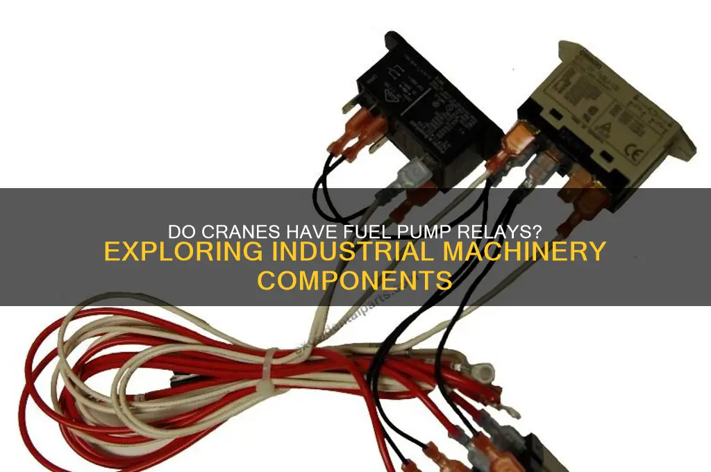 do cranes have fuel pump relays