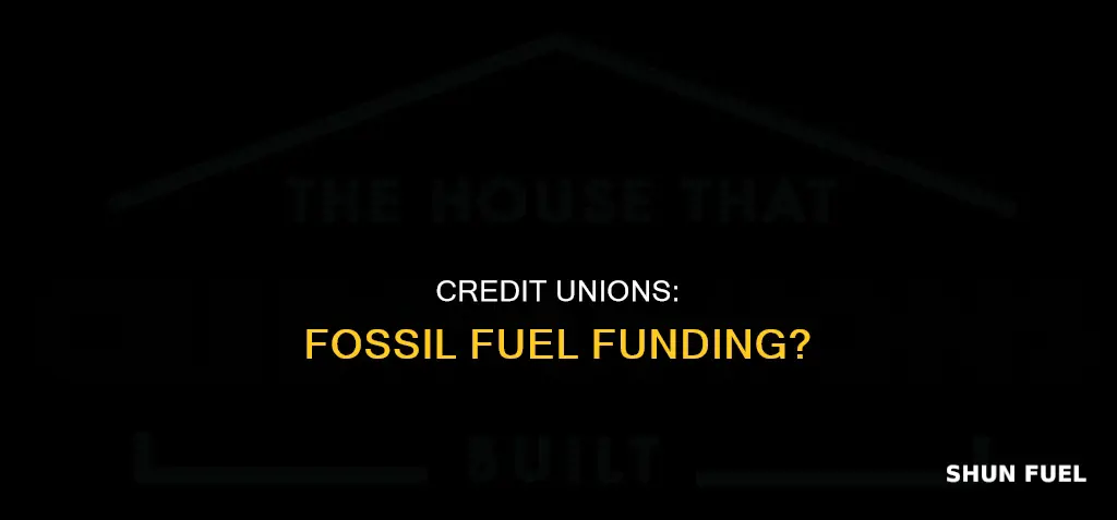 do credit unions invest in fossil fuels