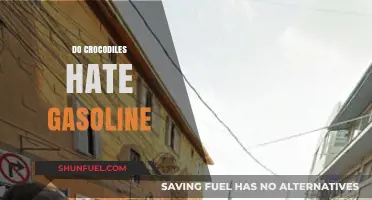 Do Crocodiles Despise Gasoline? Unraveling the Myths and Facts