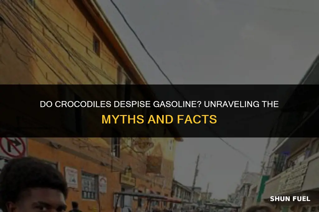 do crocodiles hate gasoline
