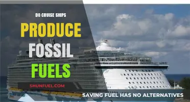Cruise Ships: Fossil Fuel Production or Consumption?