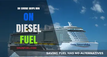 Cruise Ships' Power Source: Diesel or Otherwise?