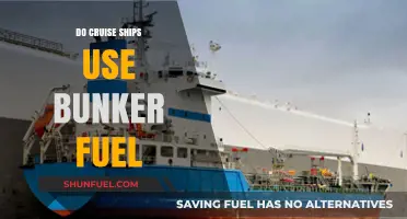 Do Cruise Ships Use Bunker Fuel? Uncovering the Truth