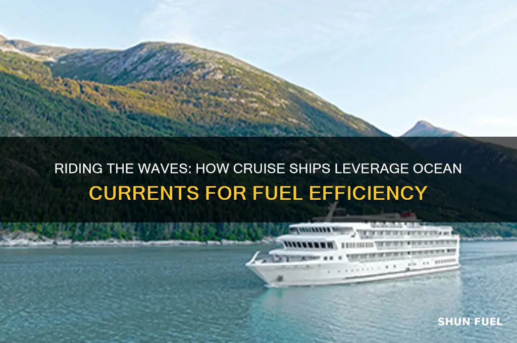 do cruise ships use ocean currents to improve fuel economy