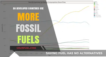 Developed Nations' Fossil Fuel Consumption