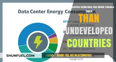 Developed Nations: Fossil Fuel Consumption Leaders