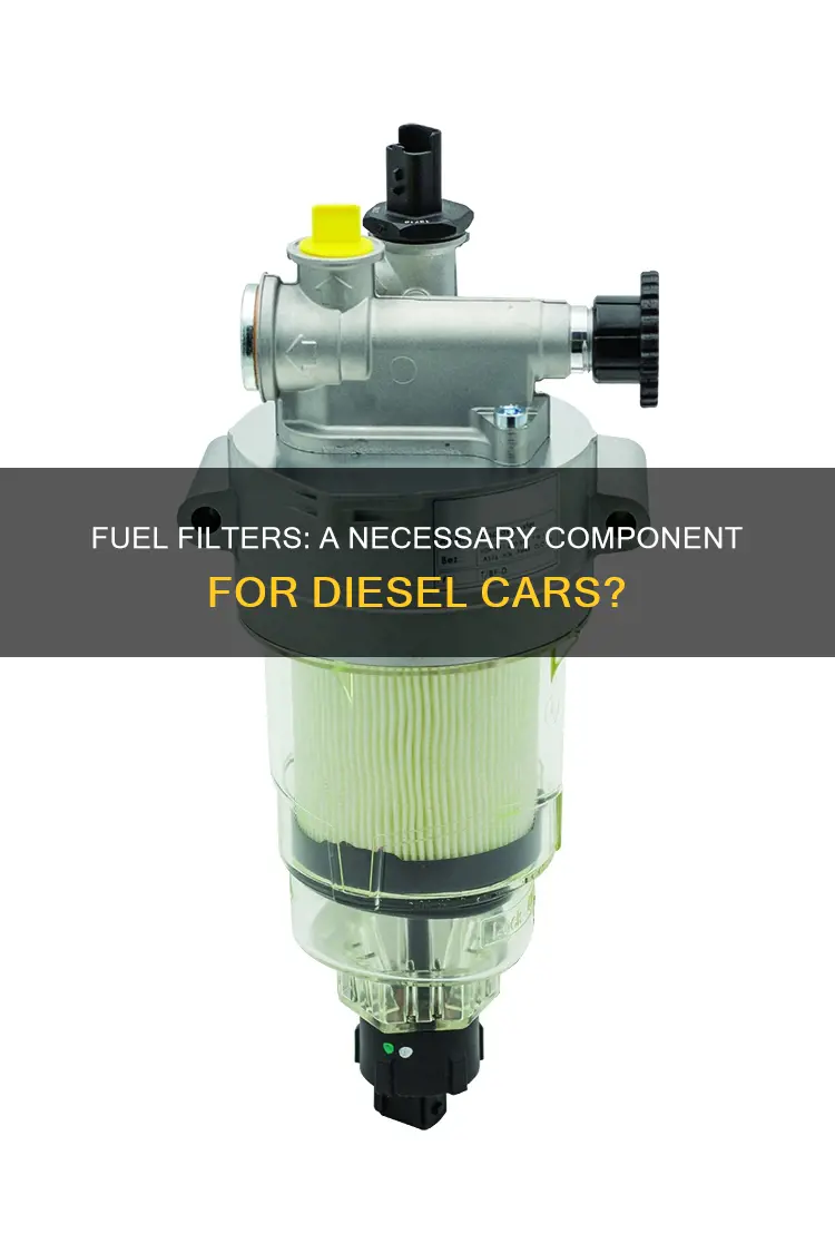 do diesel cars have fuel filters