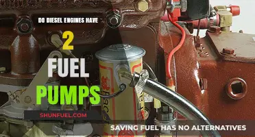 Are Two Fuel Pumps Better Than One in Diesel Engines?