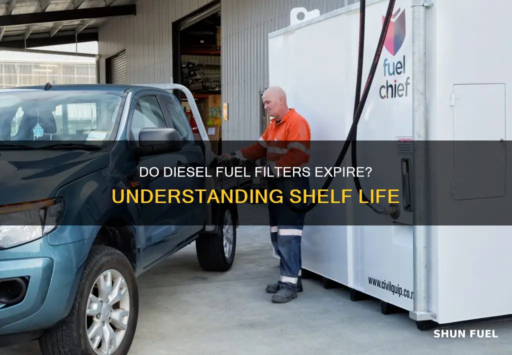 do diesel fuel filter expire