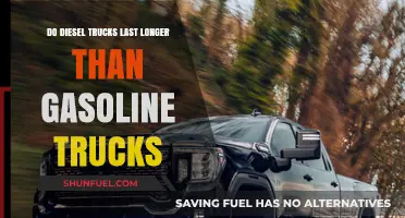 Diesel vs. Gasoline Trucks: Which Engine Type Offers Greater Durability?
