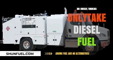 Diesel Trucks: What Fuels Them?