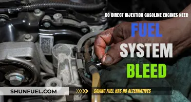 Do Direct Injection Gasoline Engines Require Fuel System Bleeding?