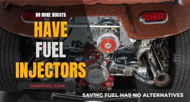 Fuel Injection in Dune Buggies: What's the Deal?