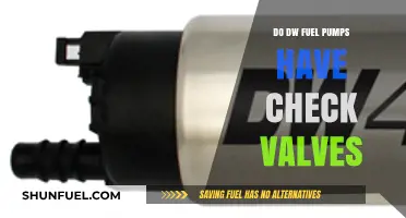Do DW Fuel Pumps Include Check Valves? A Detailed Explanation