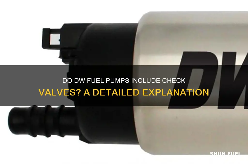 do dw fuel pumps have check valves