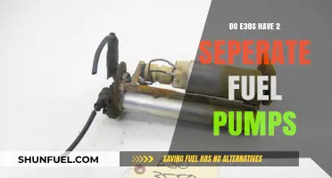 E30 Fuel Pump Setup: Are There Two Separate Pumps?