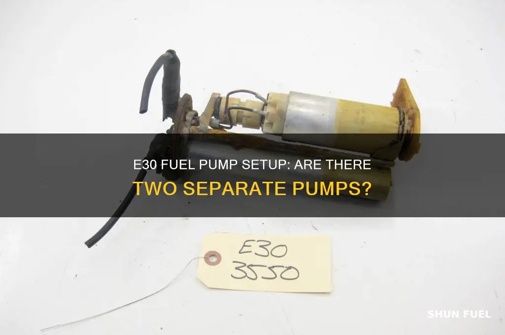 do e30s have 2 seperate fuel pumps