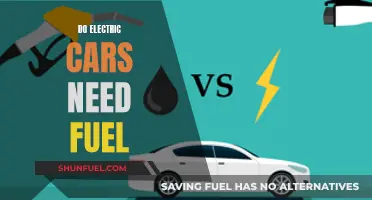 Electric Cars: Fuel-Free Future?