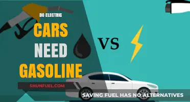 Exploring the Fuel Independence of Electric Vehicles