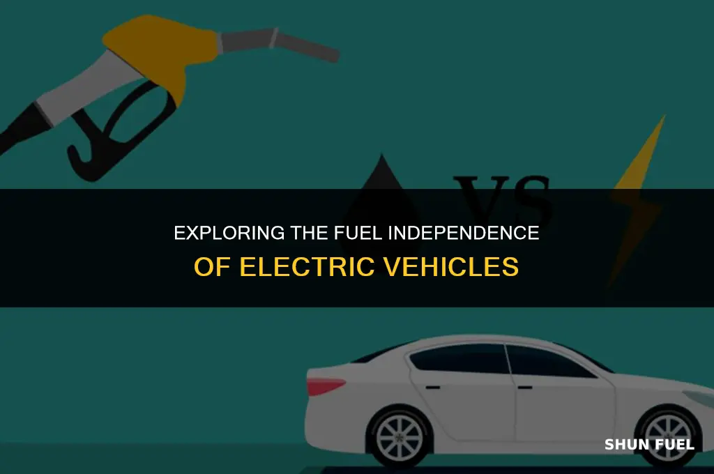 do electric cars need gasoline