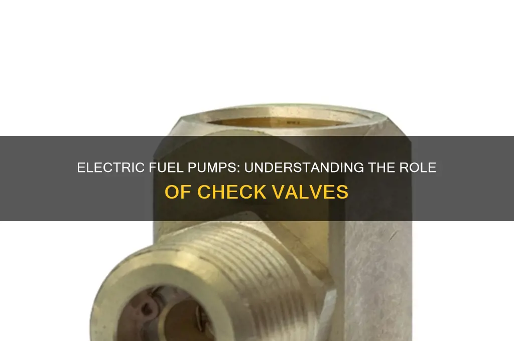 do electric fuel pumps have check valves