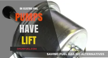 Electric Fuel Pumps: Understanding Lift Capabilities and Performance