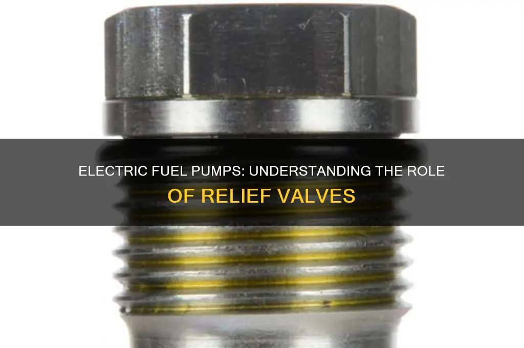 do electric fuel pumps have relief va