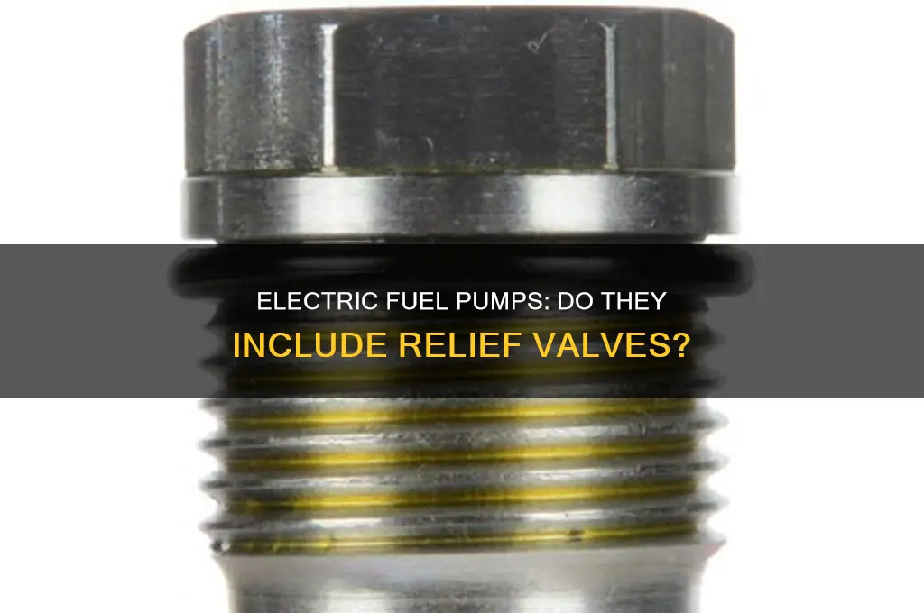 do electric fuel pumps have relief valves