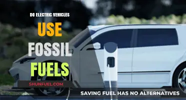 Electric Vehicles: Fossil Fuel-Free Future?
