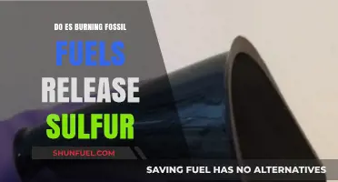 Fossil Fuels: Sulfur's Dark Secret